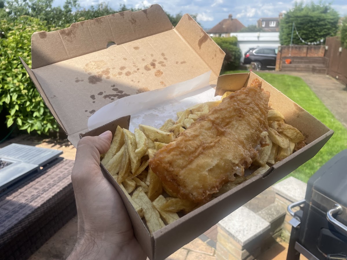 The Ark And Plaice Photos 2